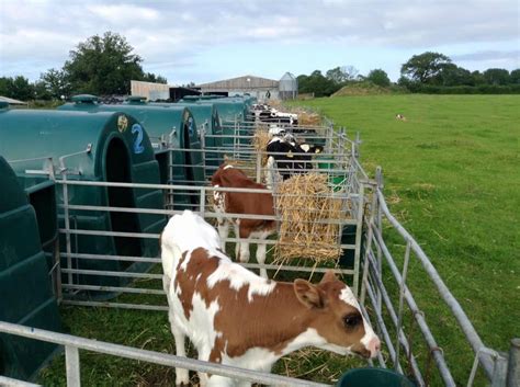 war horse country farm park